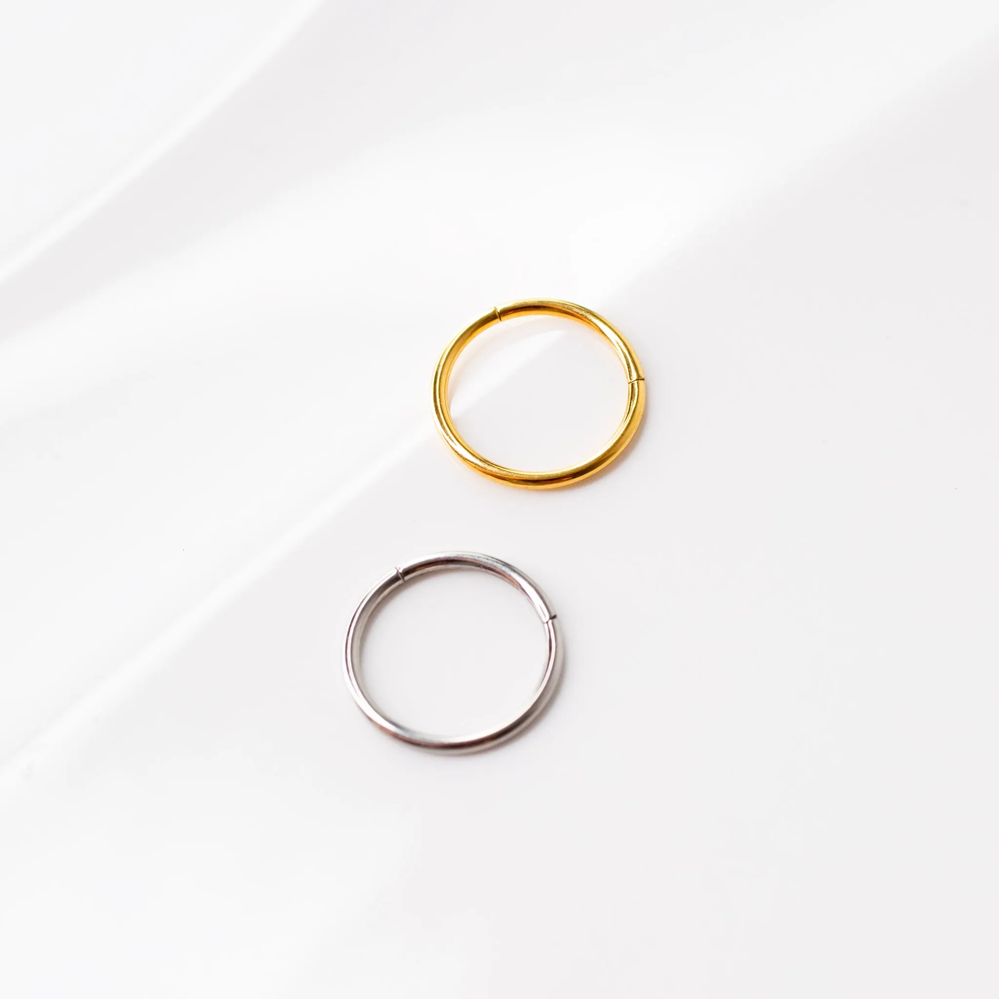 Mya Titanium Hinged Segment Ring - Hoop For Noses, Ears   More